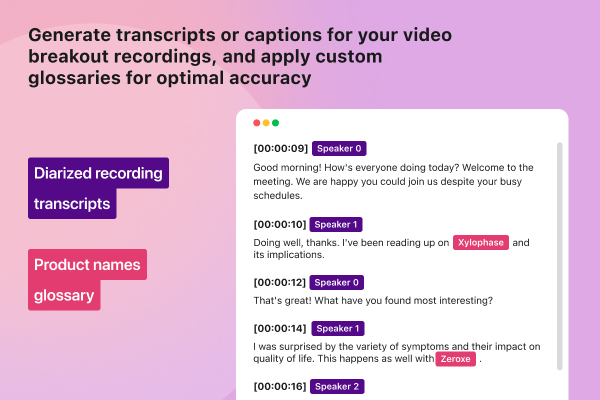 Onomi - Glossaries + Diarized recording transcripts.png